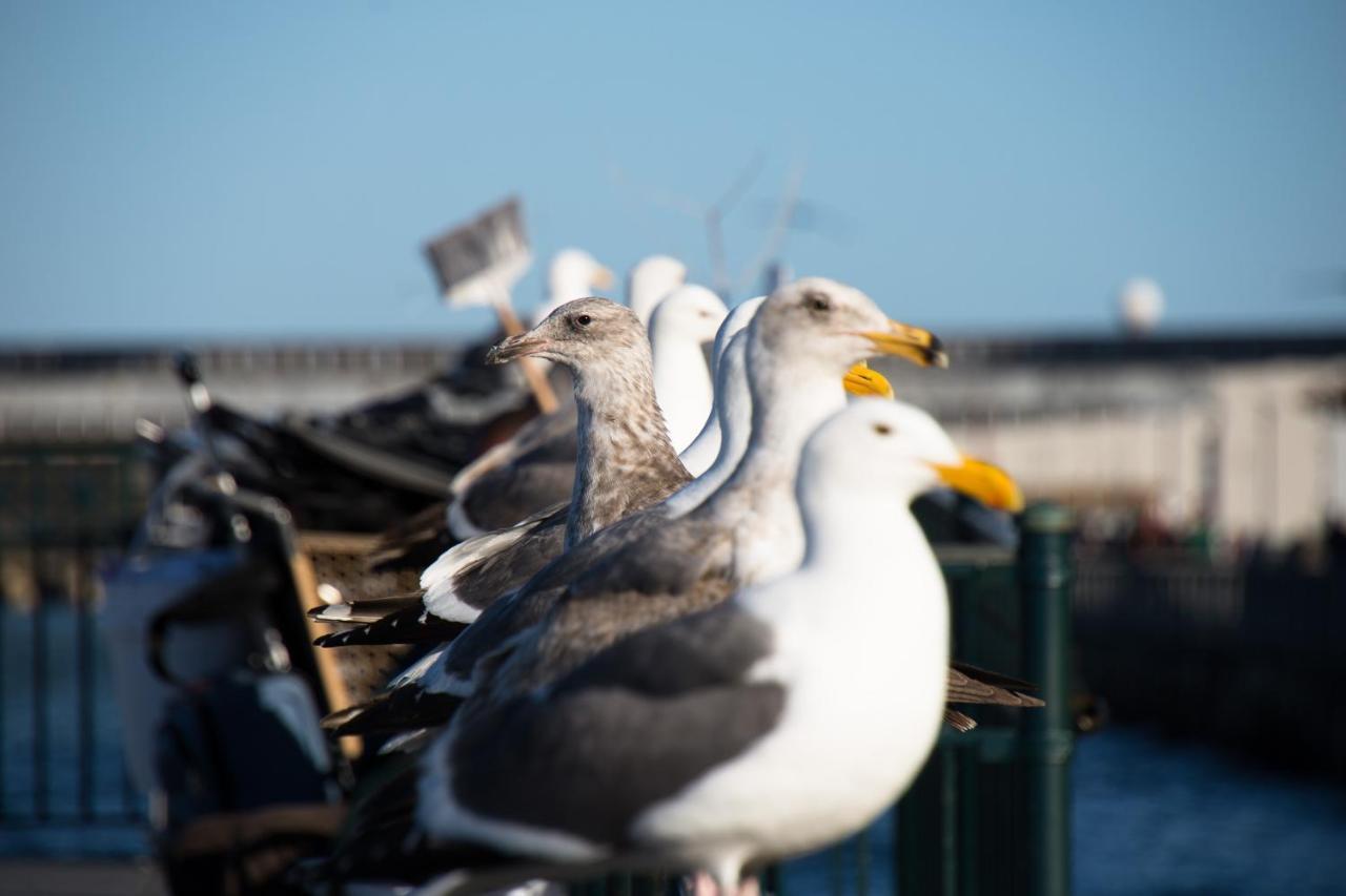 The Greenwich Rooms - Burger&Bird Bar&Restaurant Peacehaven Exterior foto